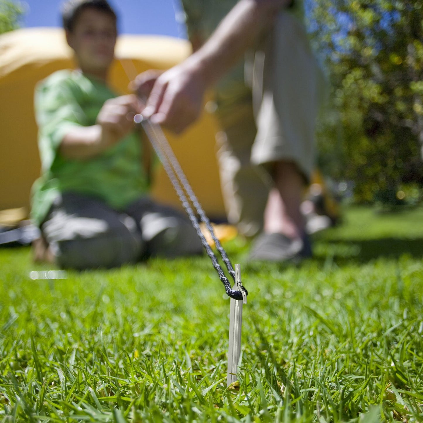 Set of 20 tent pegs