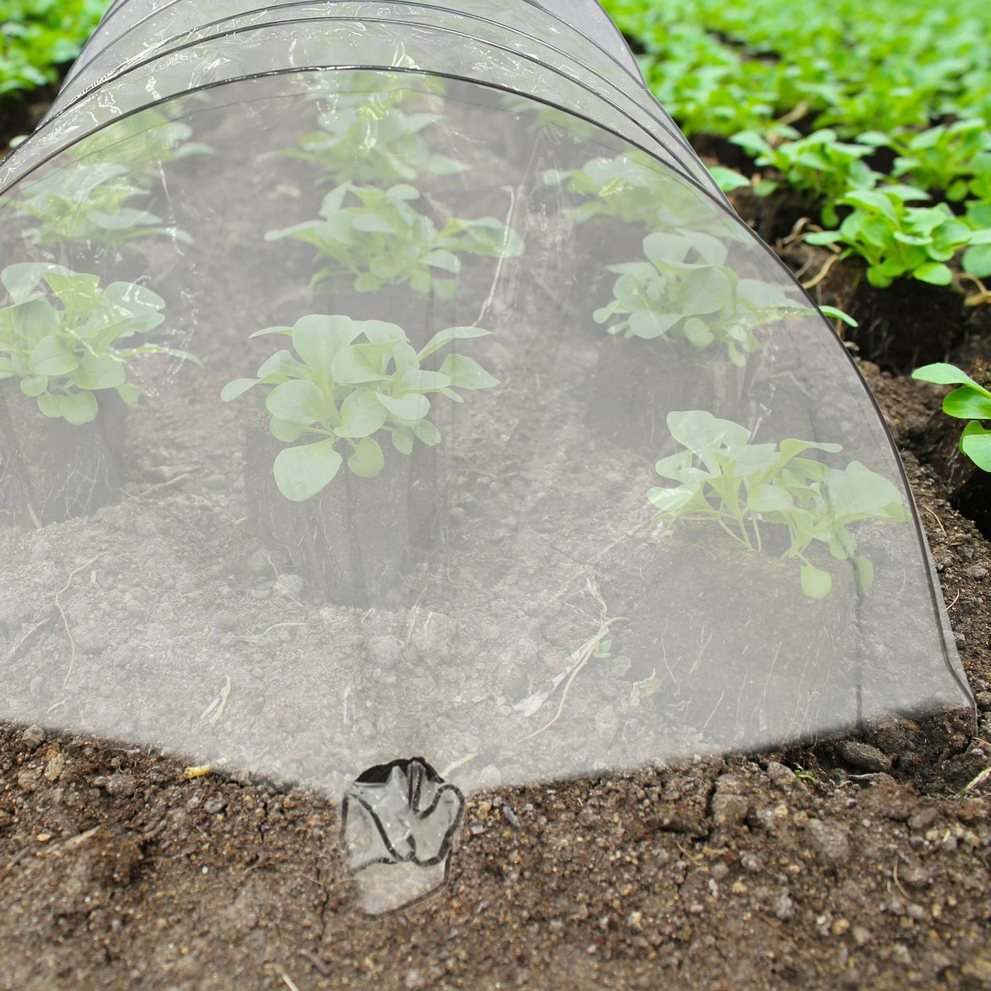 Set of 2 PVC Grow Tunnels 3.7 m