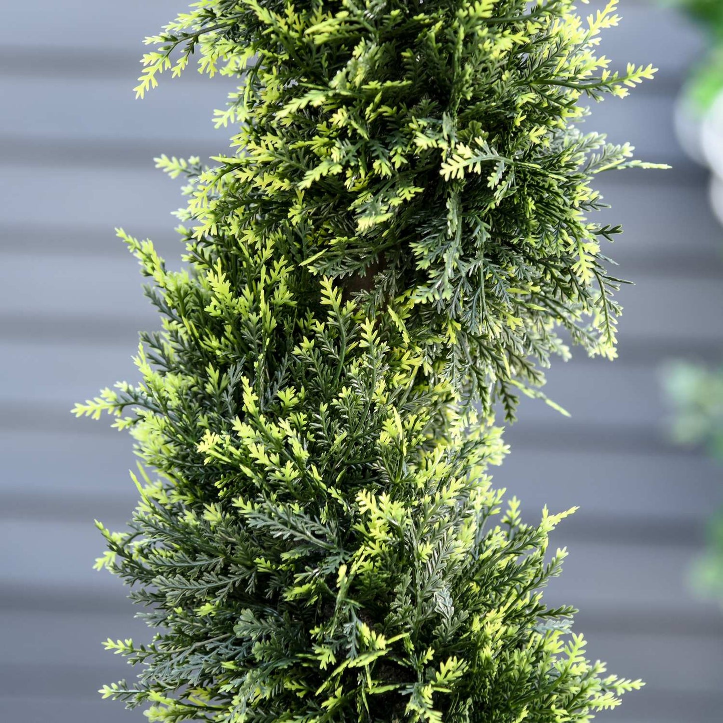 Large 90 cm spiral cedar plant in pot - indoor/outdoor decor