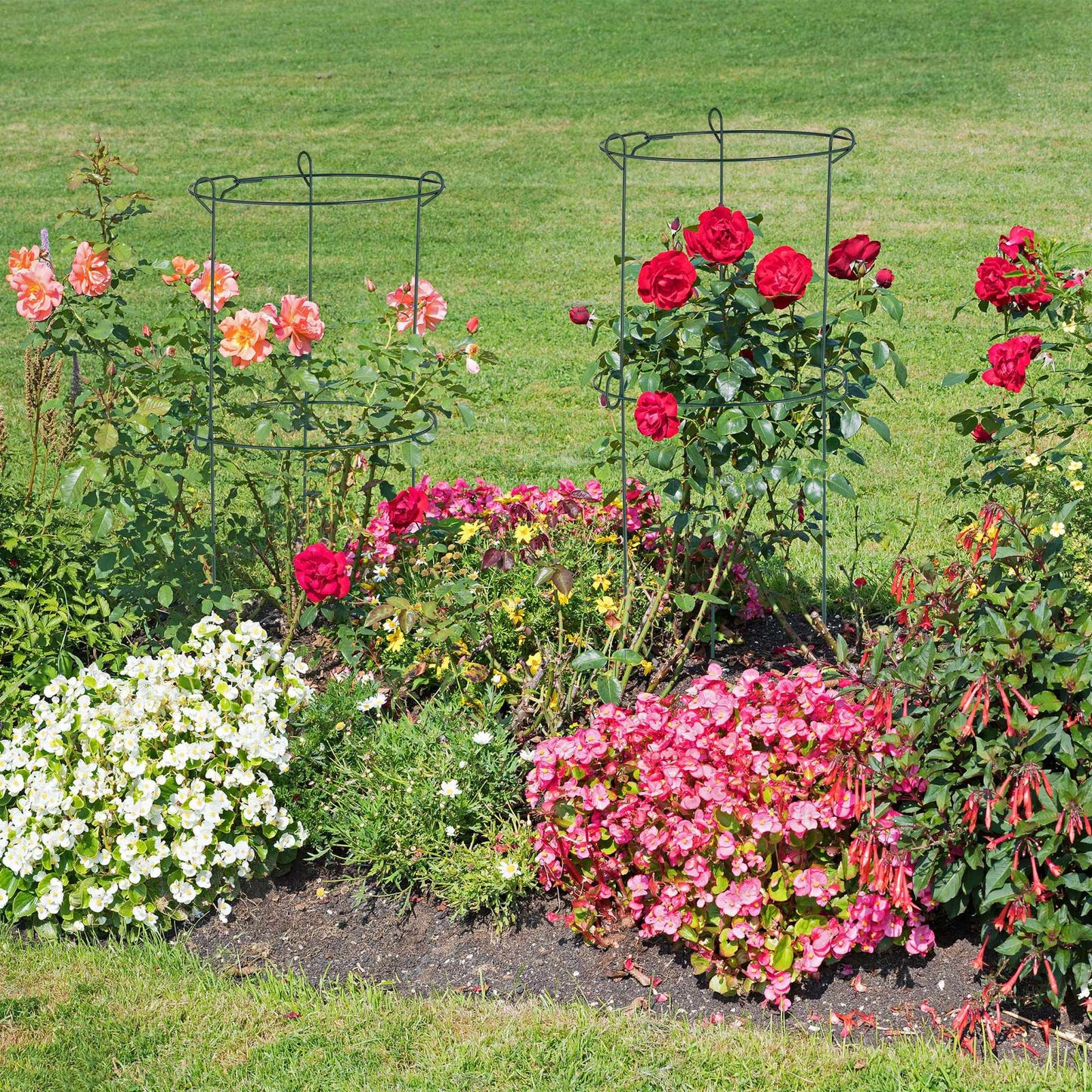 Set of 4 Plant Support Grow Rings