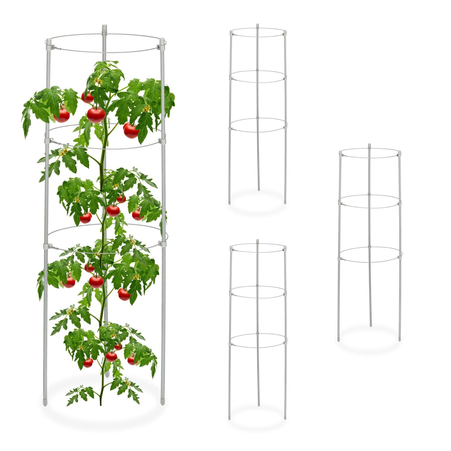 Set of 4 Round Tomato Support, 60 cm