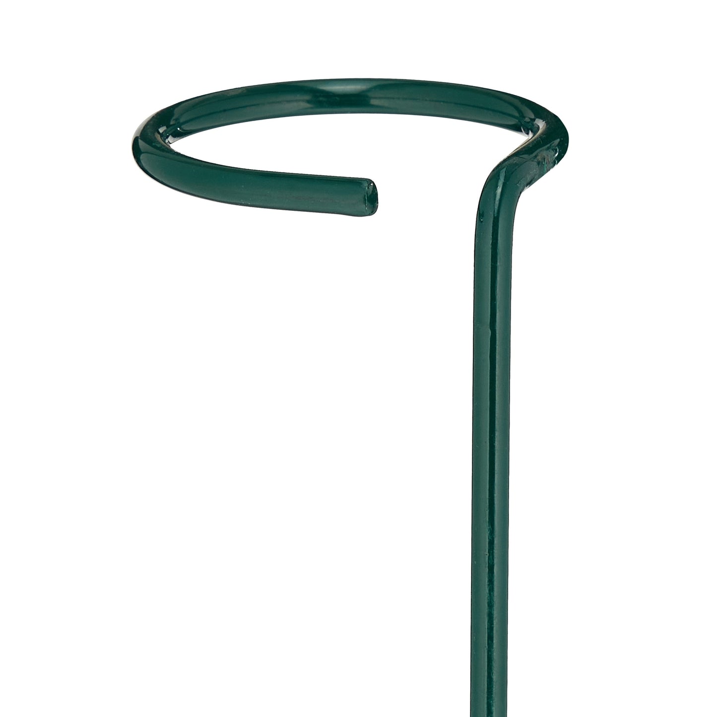 Set of 6 dark green plant support