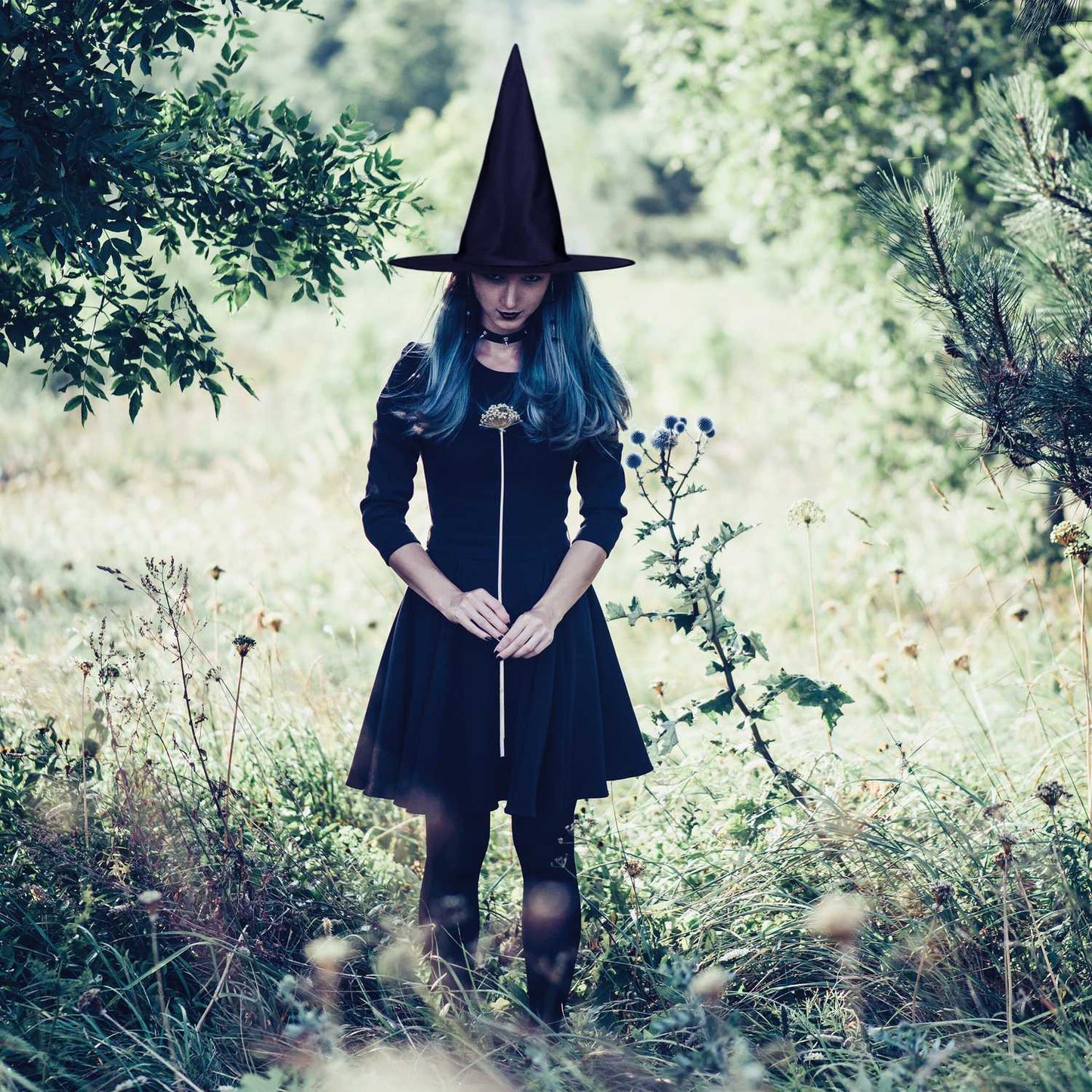 Set of 6 witch hats in black