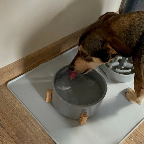 Silicone bowl pad Purlov 24295