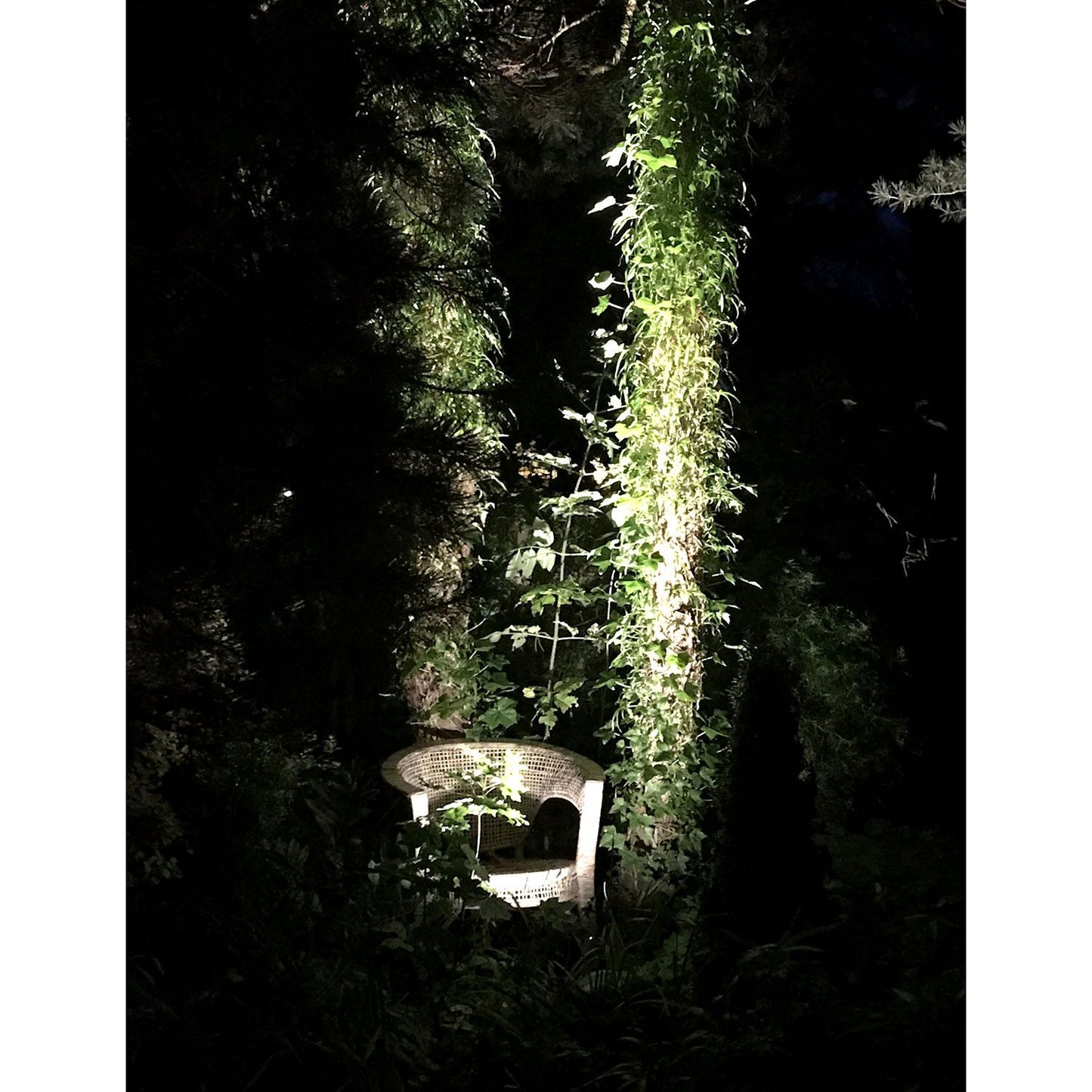 Sirius Spotlight Black