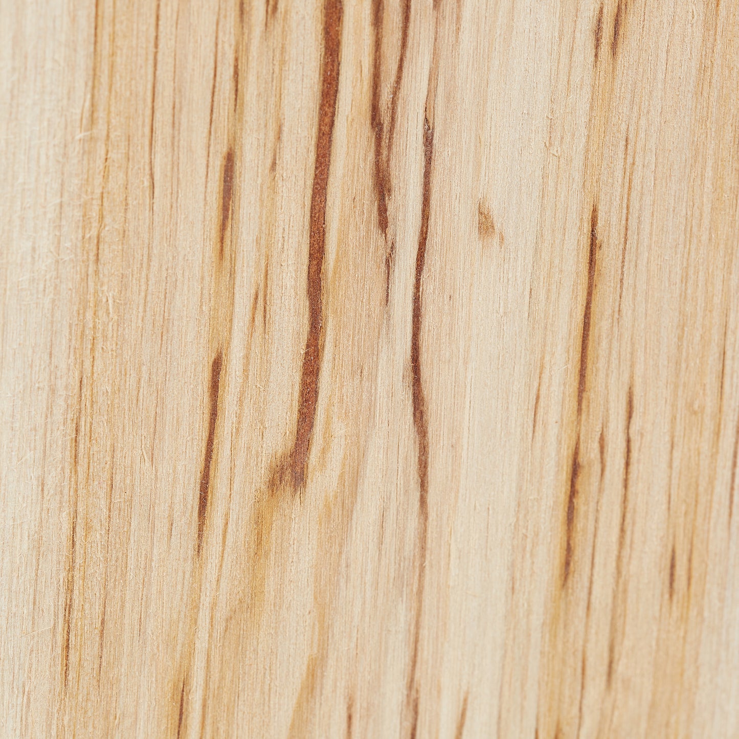 Slanted Bat Box