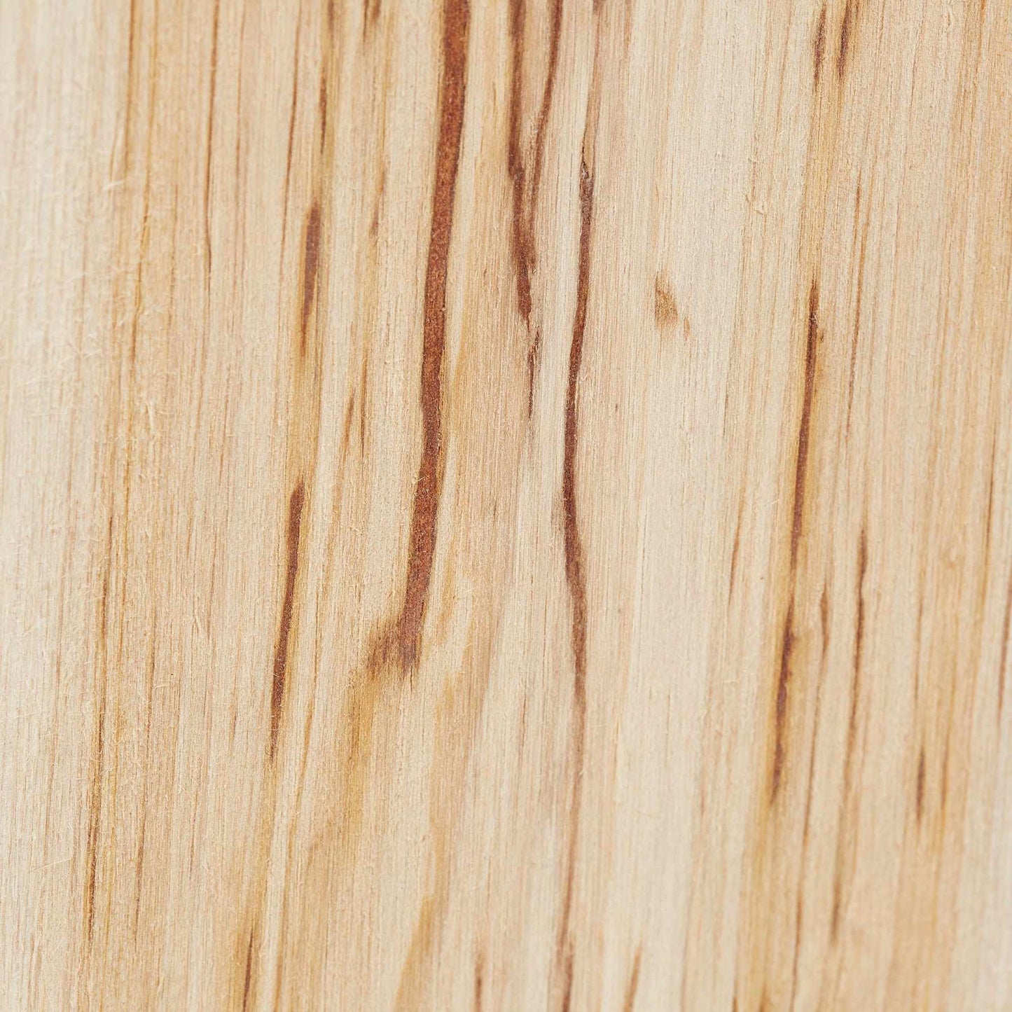 Slanted Bat Box