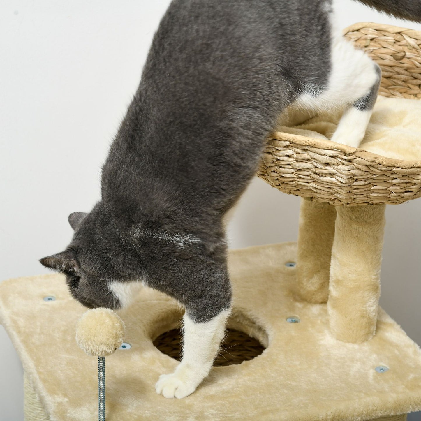 Cat scratching post with cave and bed, 74 cm, Beige