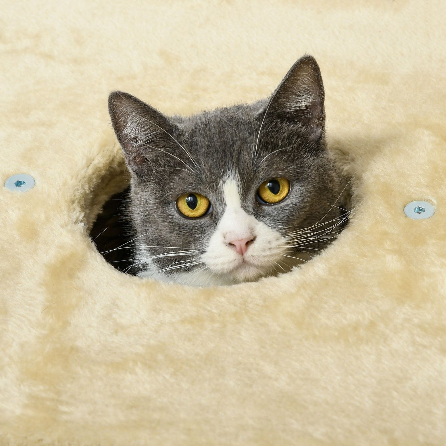 Cat scratching post with cave and bed, 74 cm, Beige