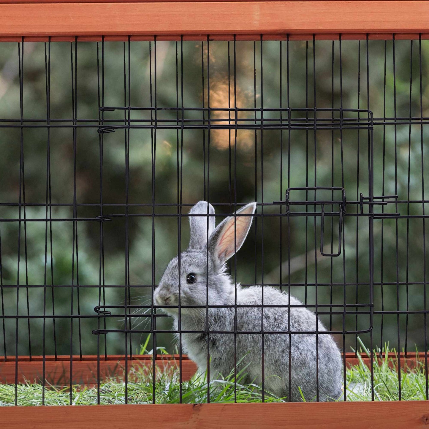 Small rabbit cage