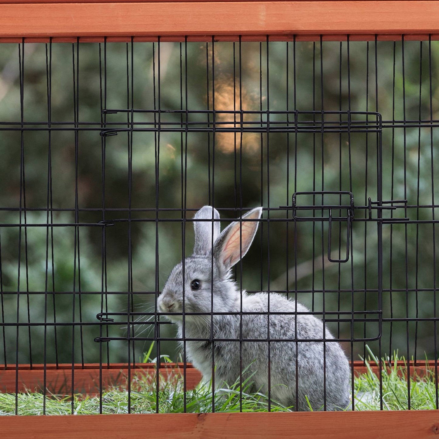 Small rabbit cage