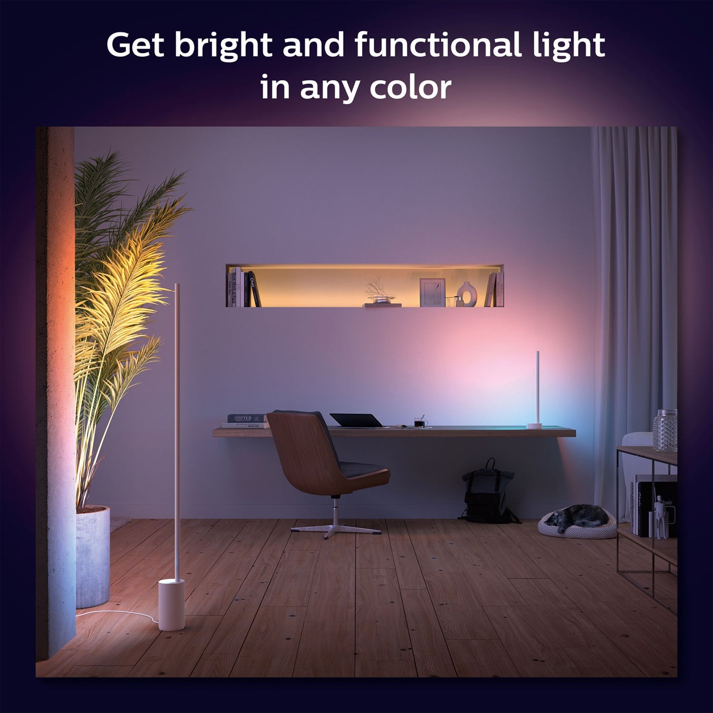 Smart LED Floor Lamp, White & Color Ambiance, Bluetooth Control