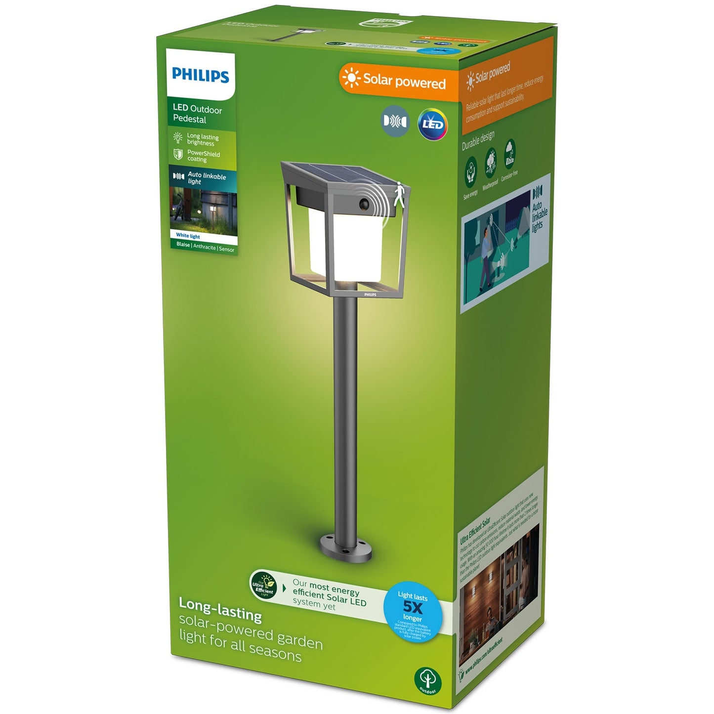 Solar LED Garden Path Light, Dual Brightness, Black
