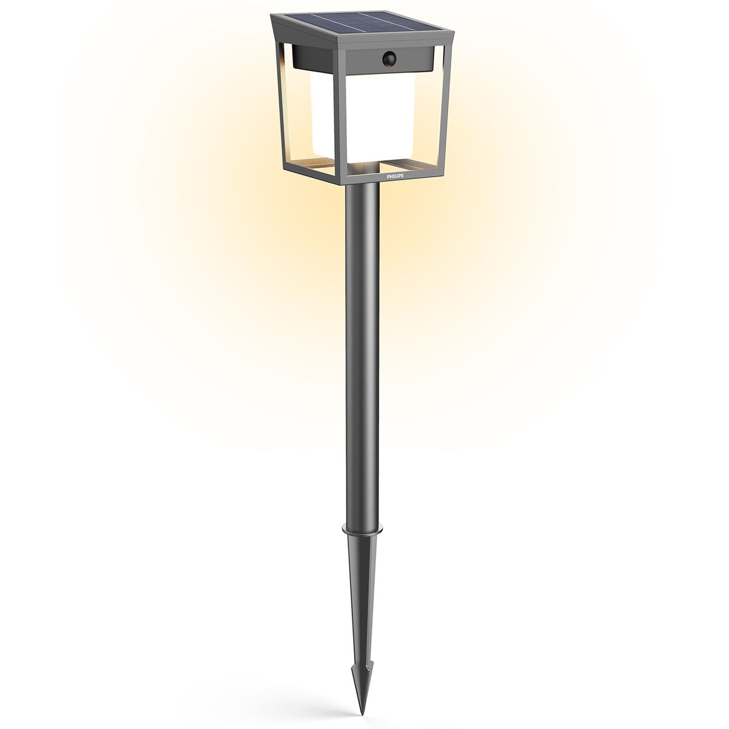 Solar LED Garden Path Light, Dual Brightness, Black