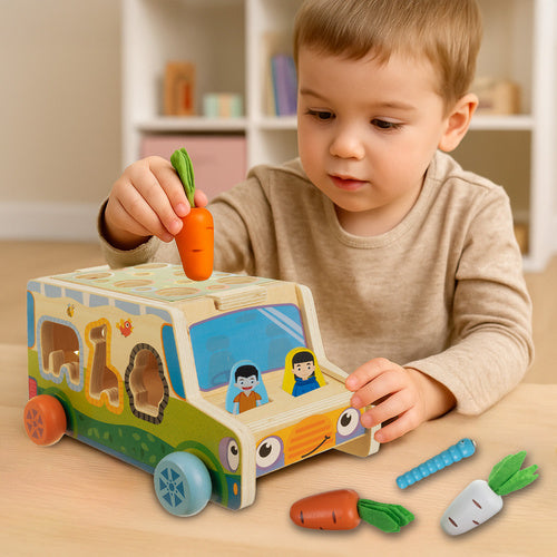 Sorter - wooden car Kruzzel 26250