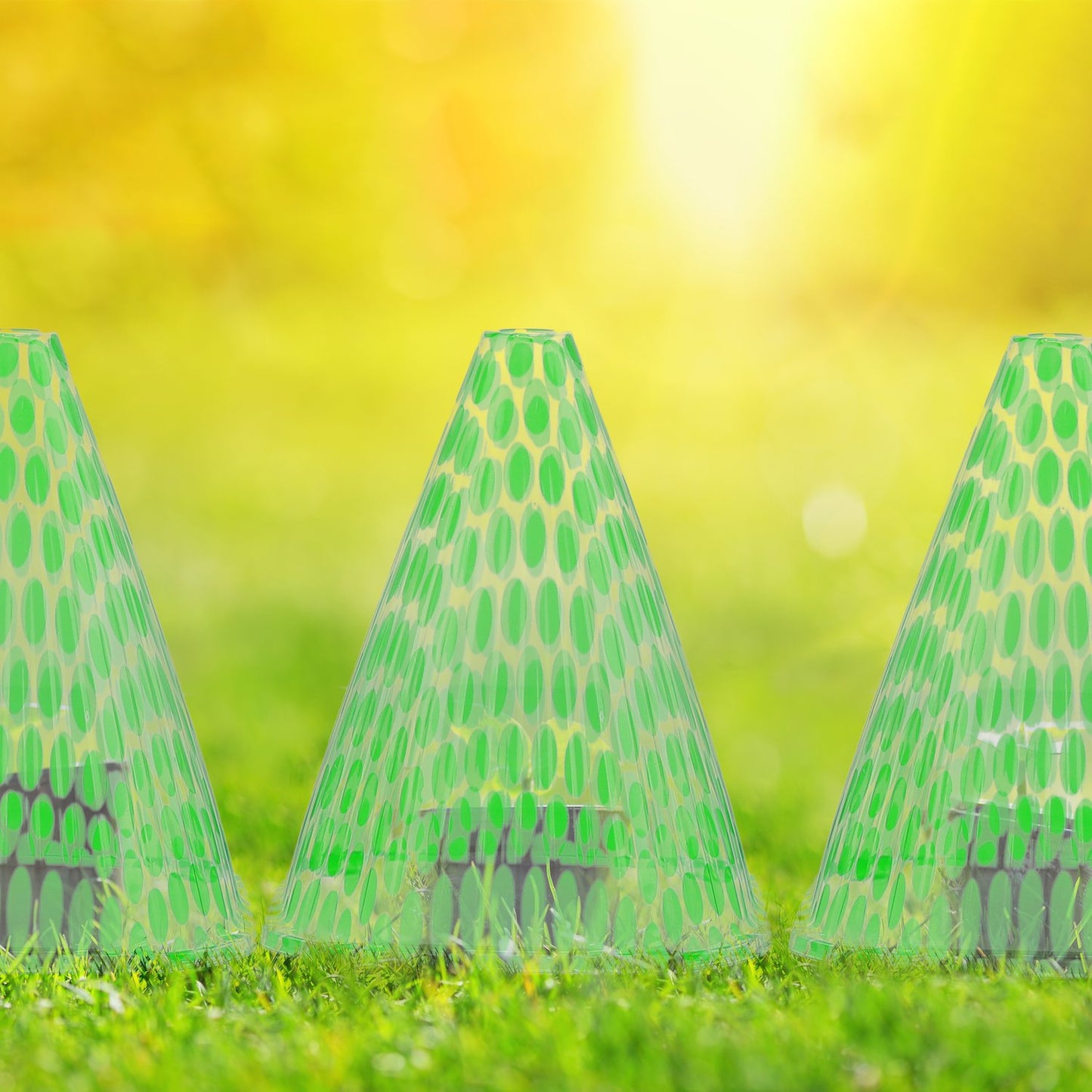 Spotted Green Plant Cone in a Set of 24