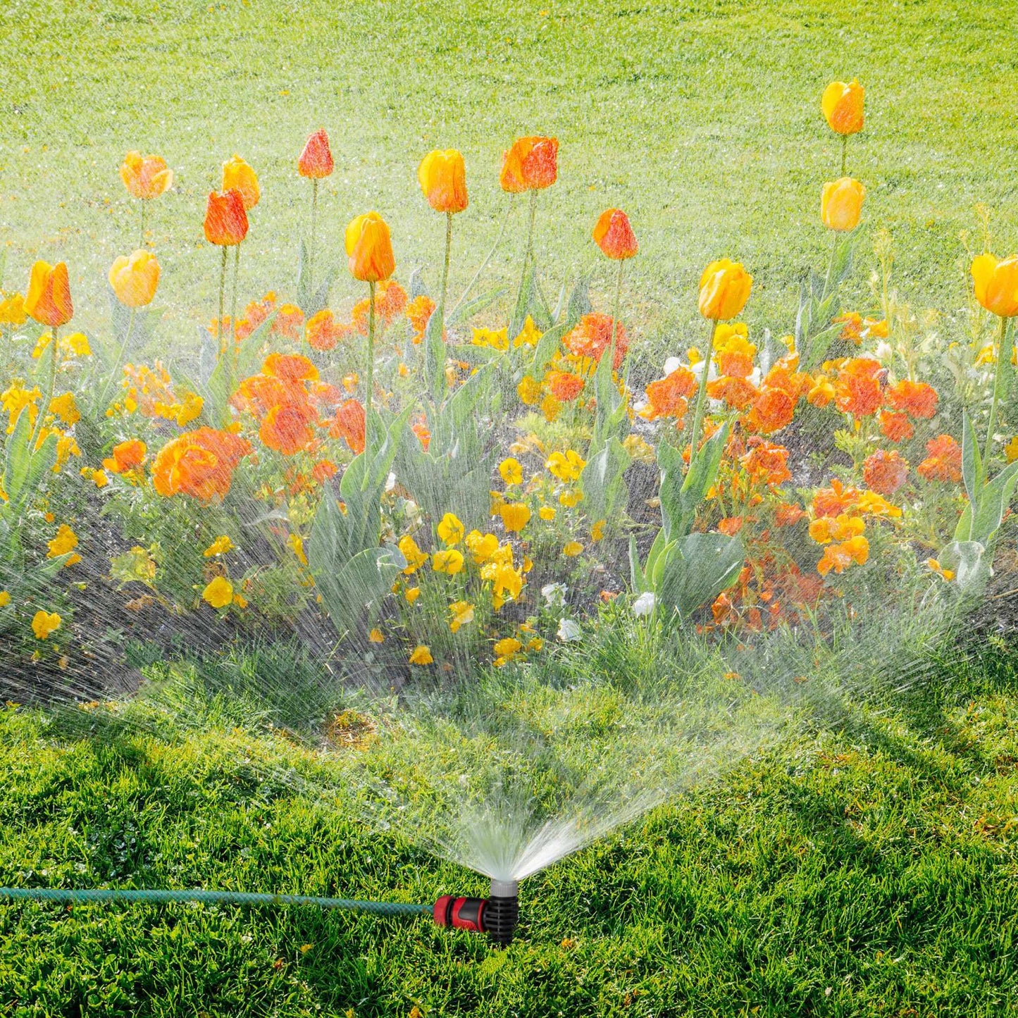 Spray Sprinkler Garden Set of 5
