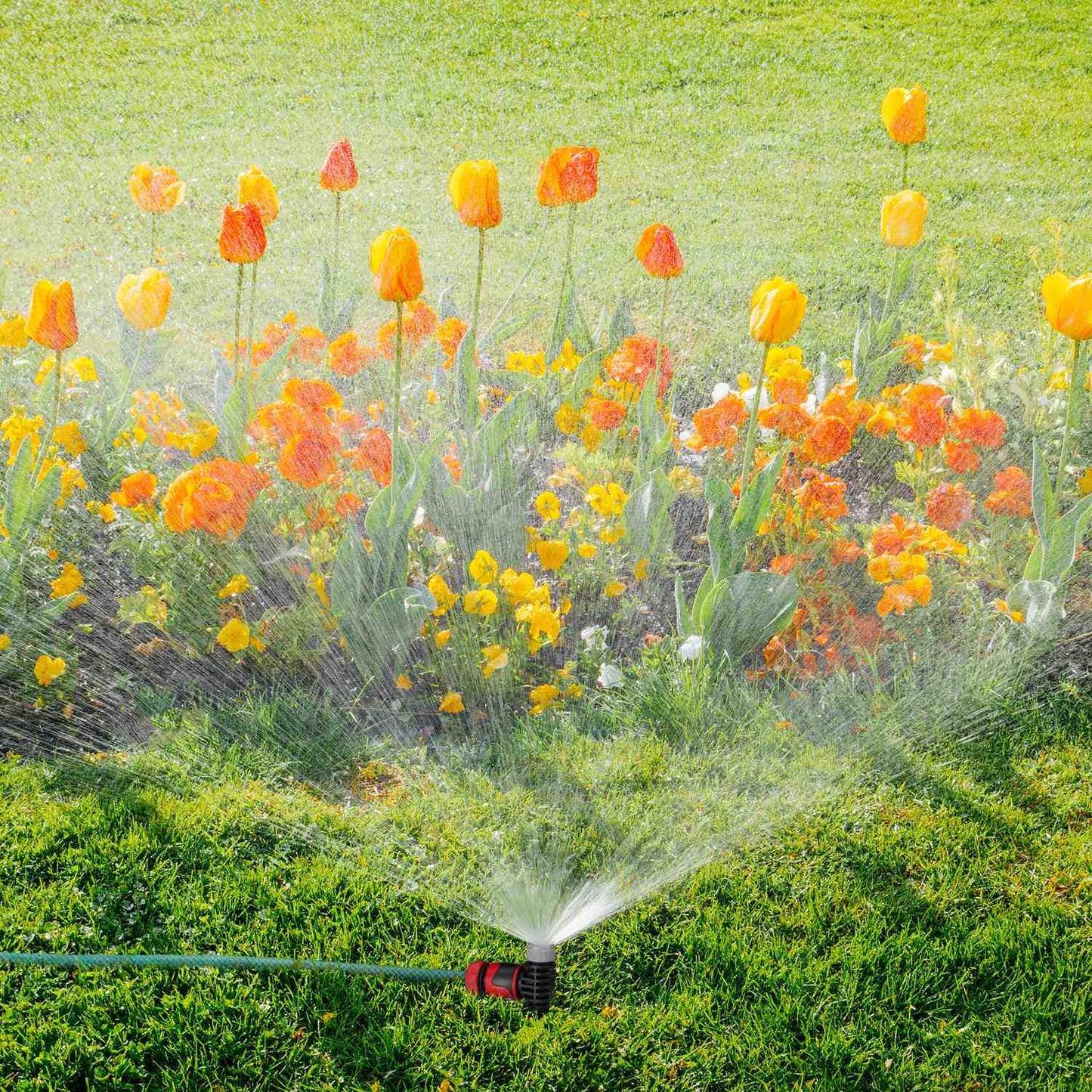 Spray Sprinkler Garden Set of 5