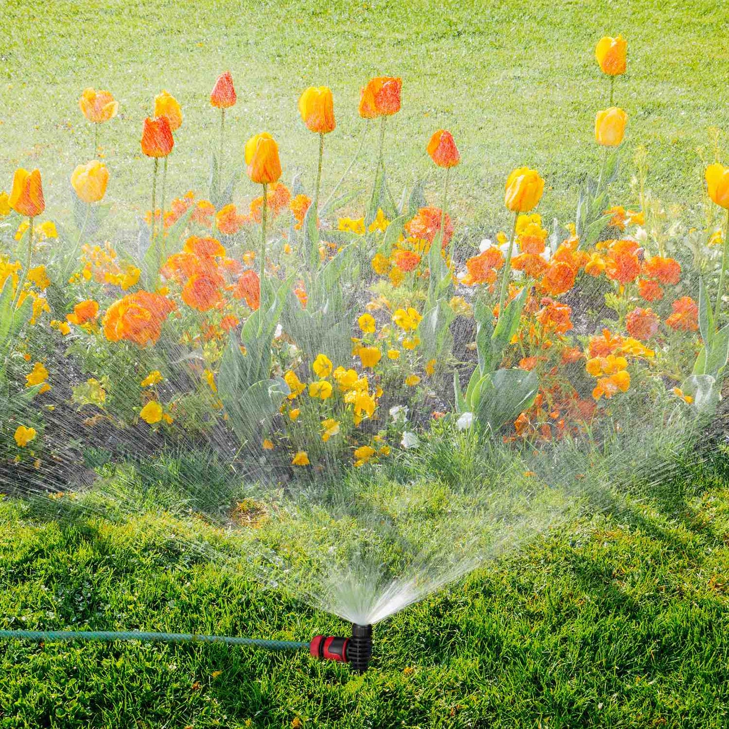 Spray Sprinkler Garden Set of 5