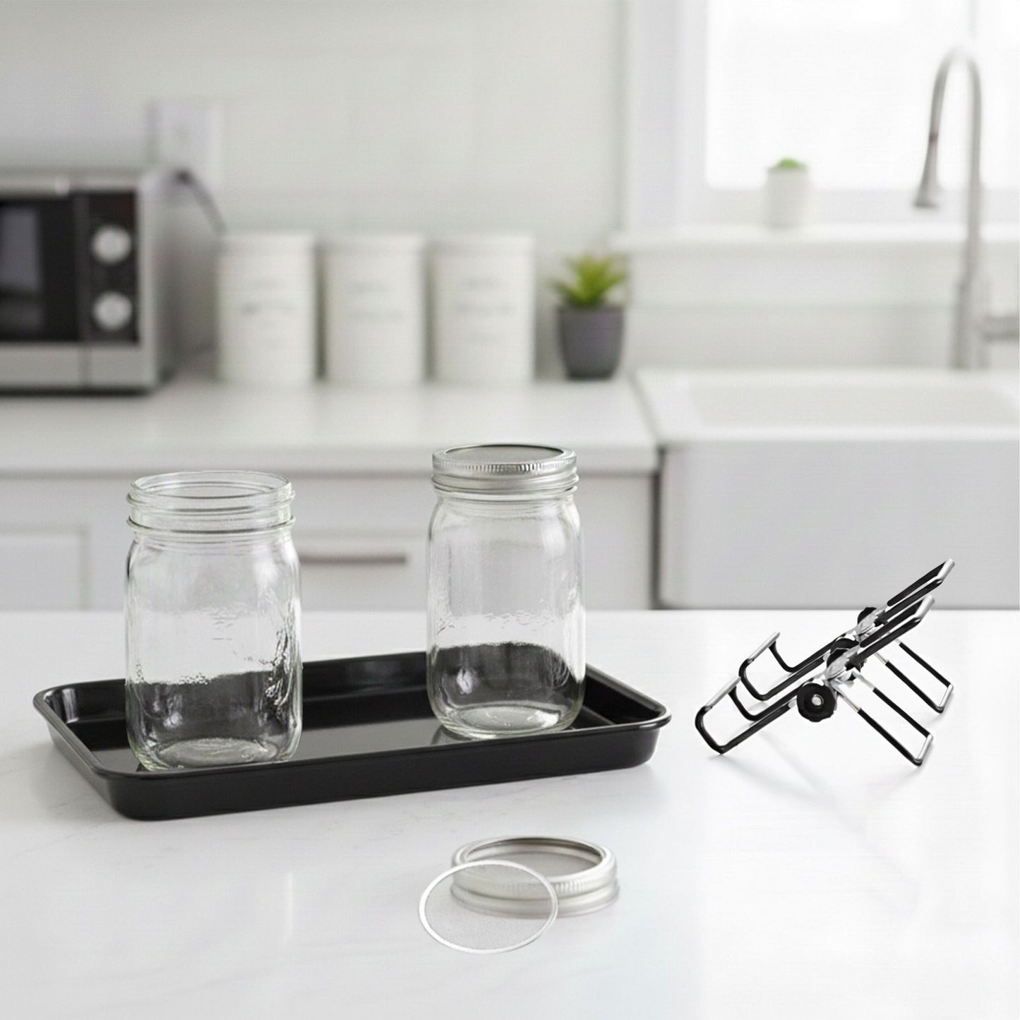 Sprouting Jars Set with Holder & Tray for Home Use