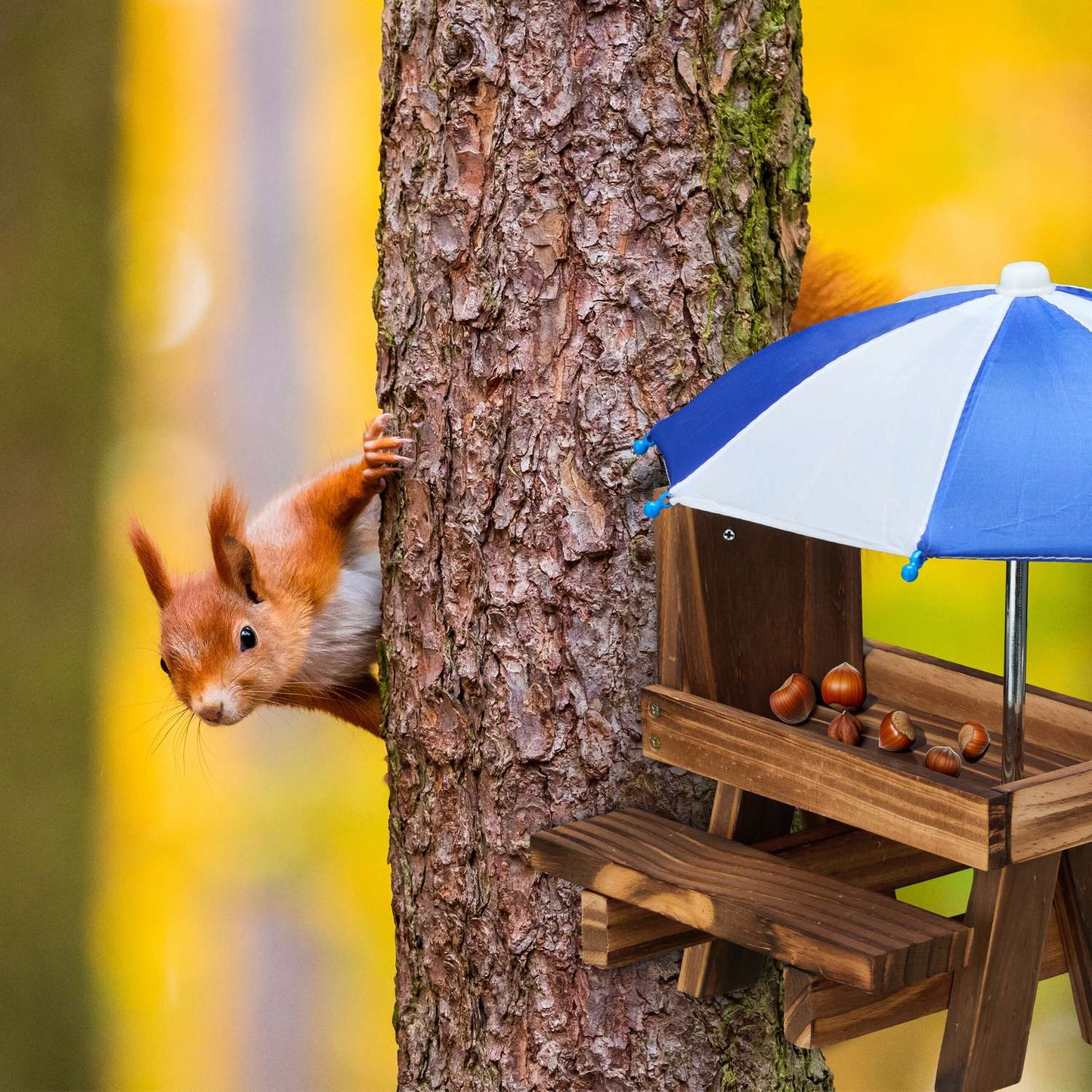 Squirrel Picnic Table Feeder with 2 Umbrellas