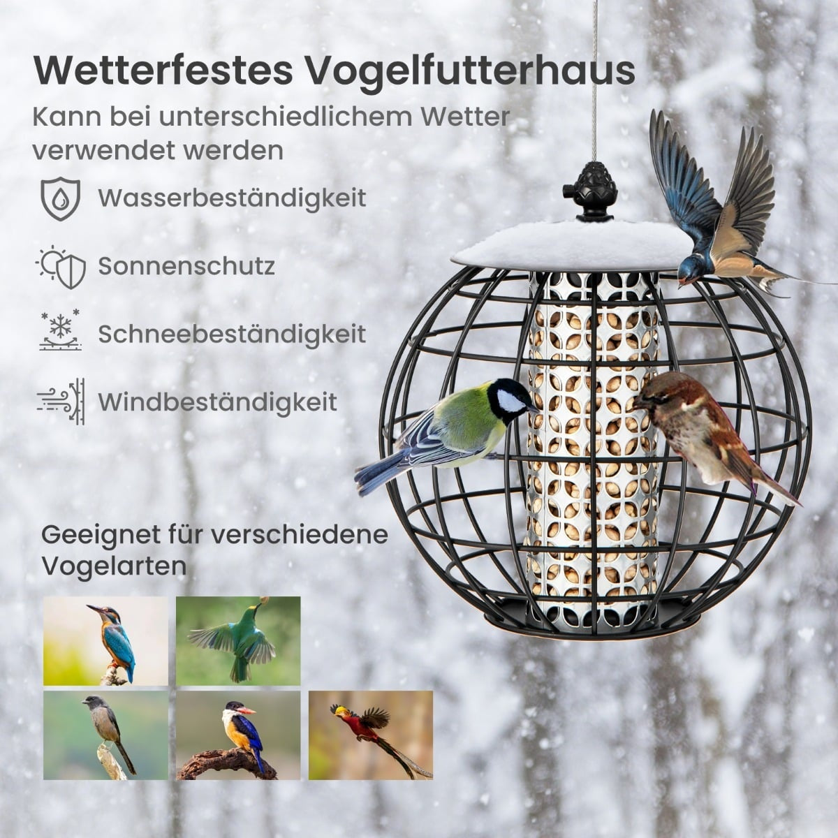 Squirrel-Proof Hanging Bird Feeder, Black, 21 x 22.5 cm