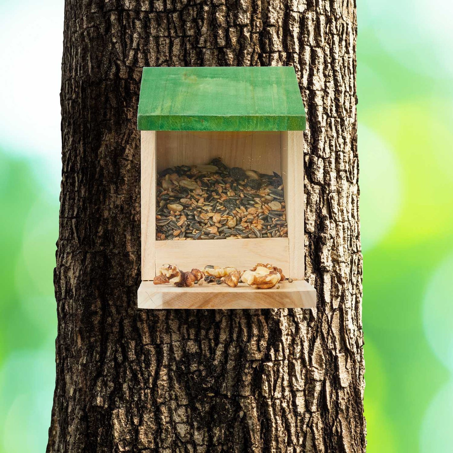 Squirrel feeder Wood