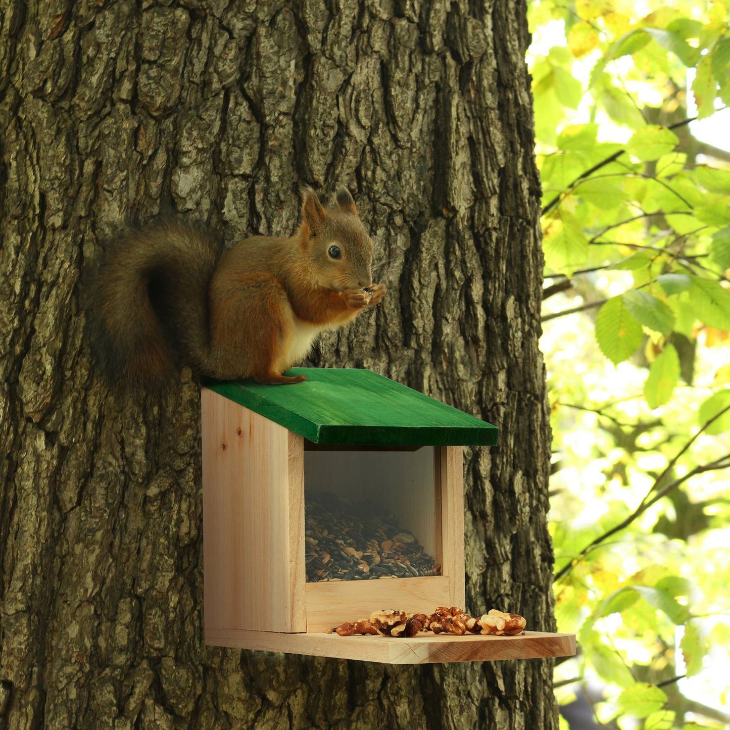 Squirrel feeder Wood