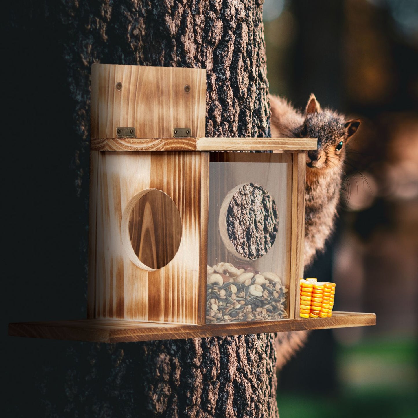 Squirrel feeder with 2 inputs