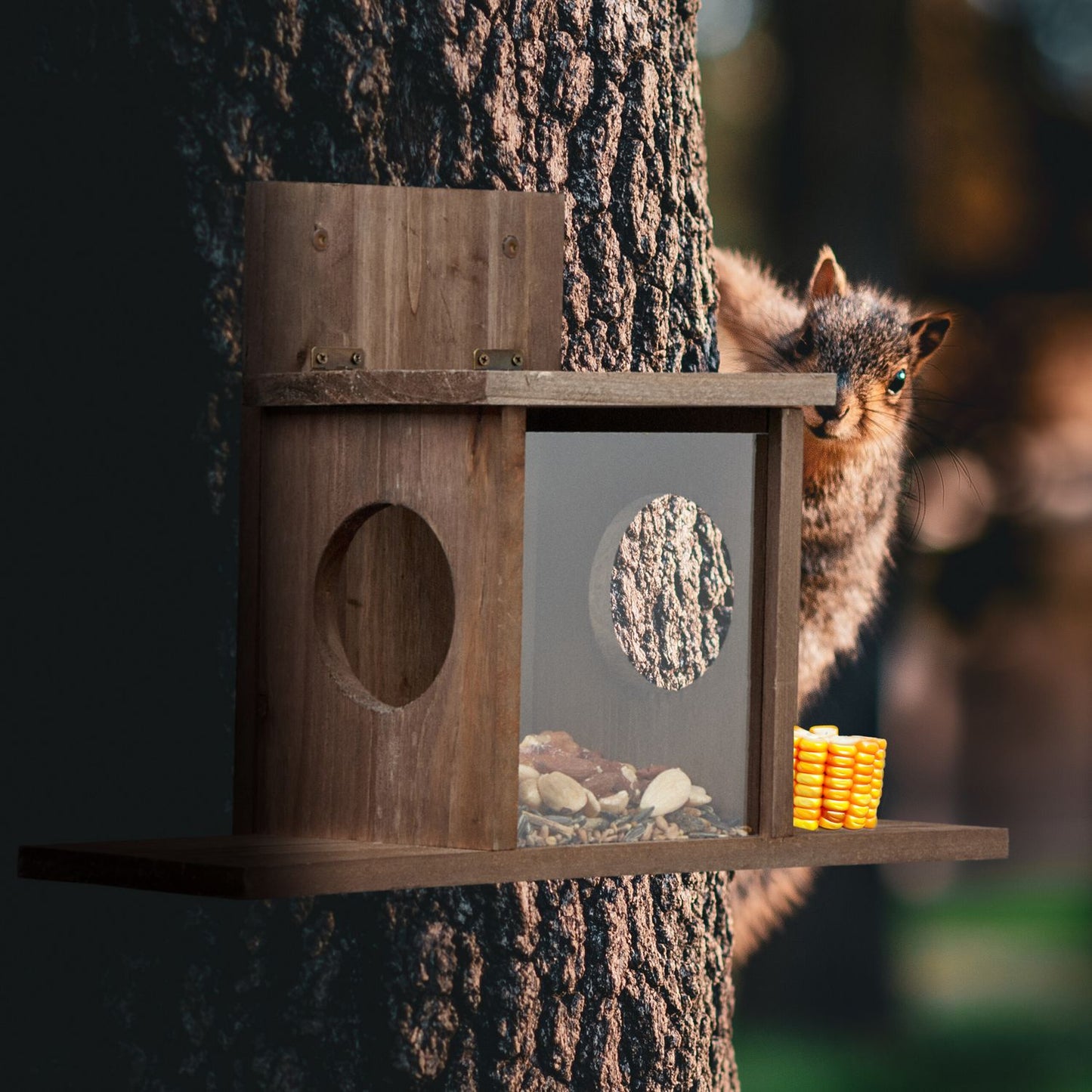 Squirrel feeder with 2 inputs