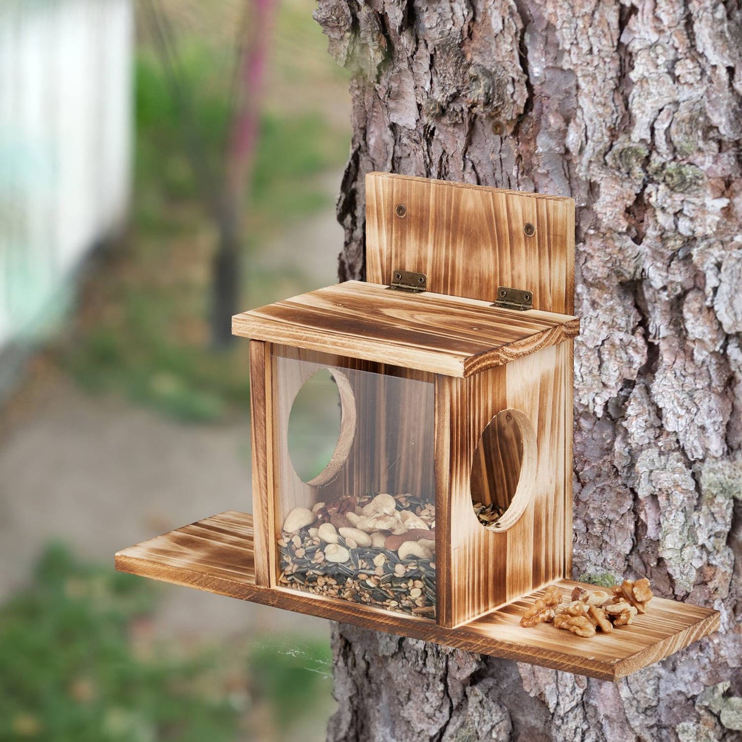 Squirrel feeder with 2 inputs
