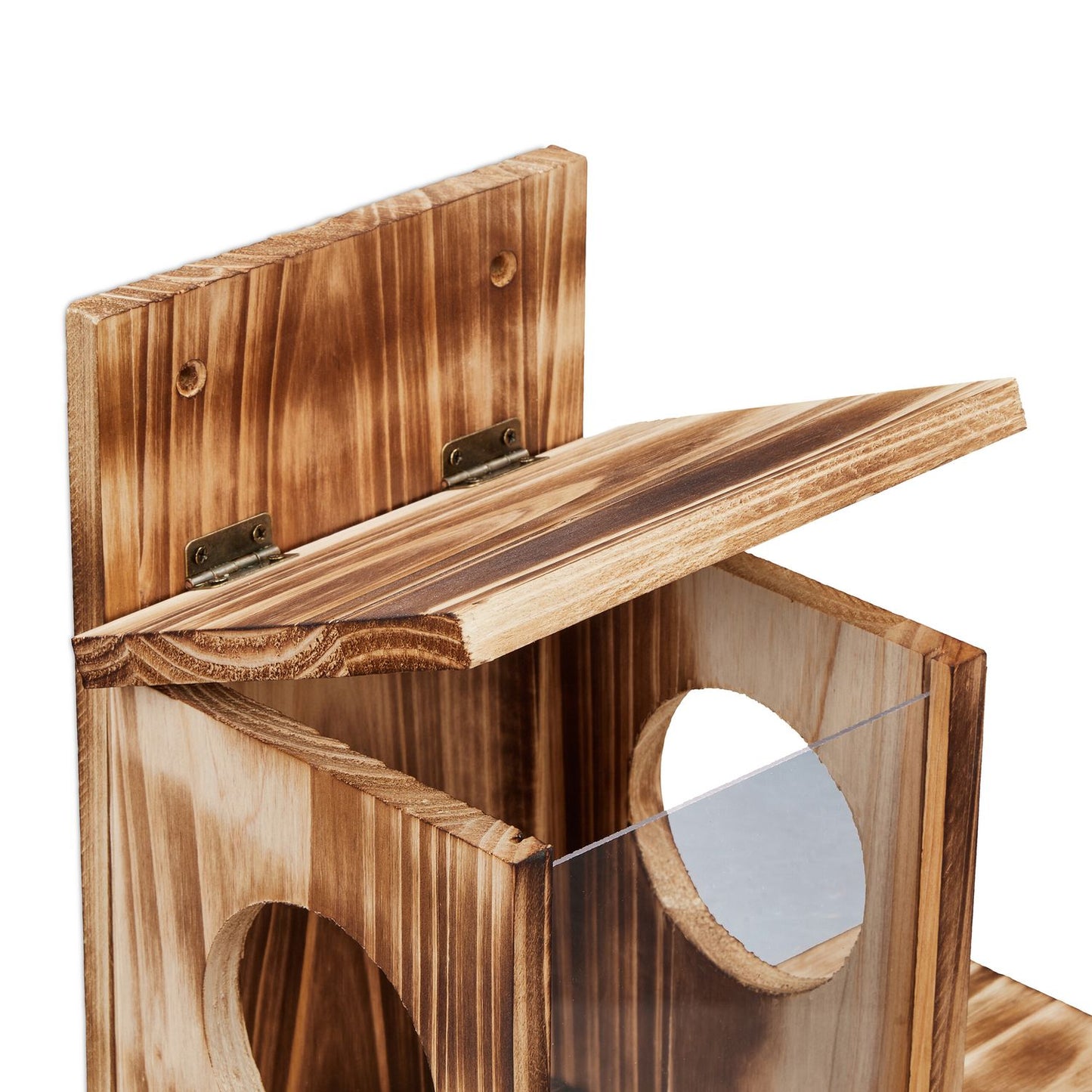 Squirrel feeder with 2 inputs