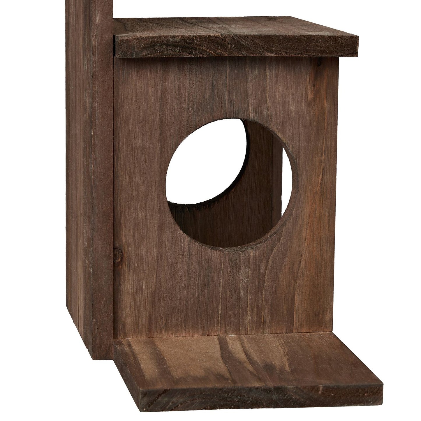 Squirrel feeder with 2 inputs
