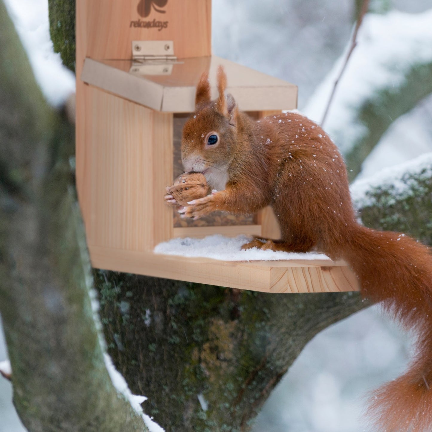 Squirrel feeder with metal roof