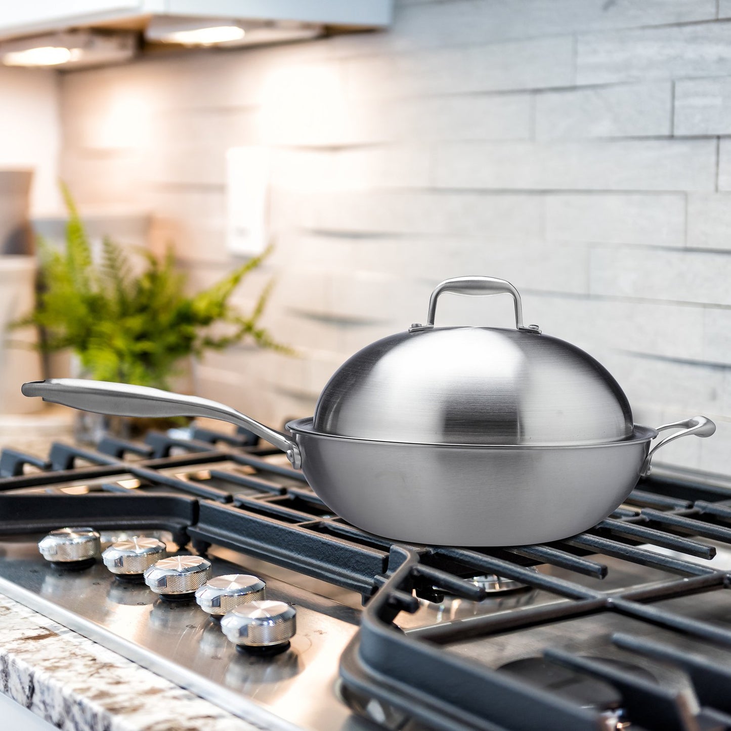 Stainless steel wok with lid
