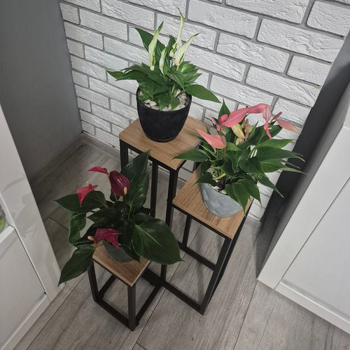 Standing flower stand 67cm Ruhhy 25626