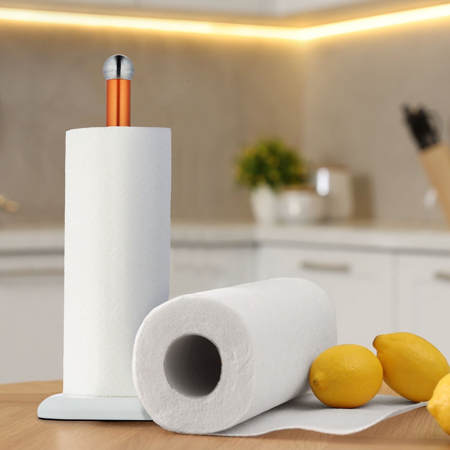 Standing holder for household paper