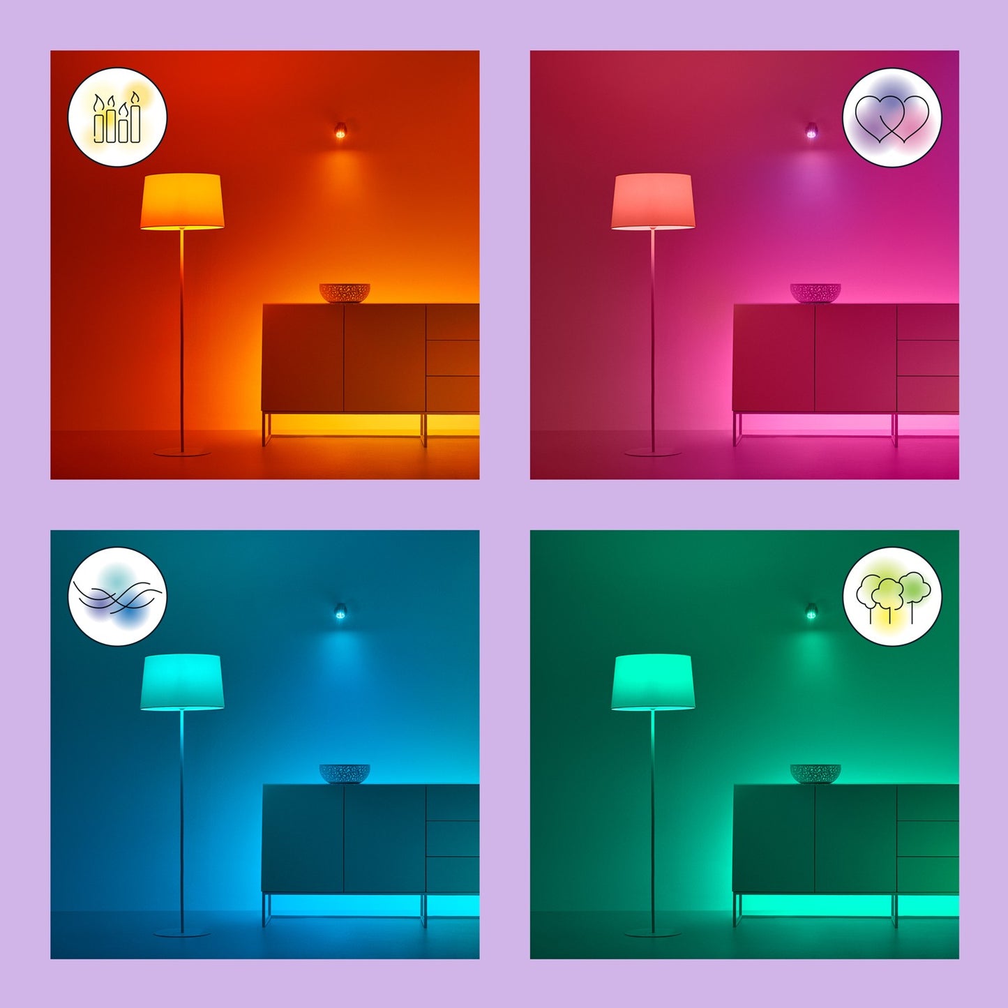 Starter kit Monitoring and lighting Camera + 3x Smart LED E27 Color