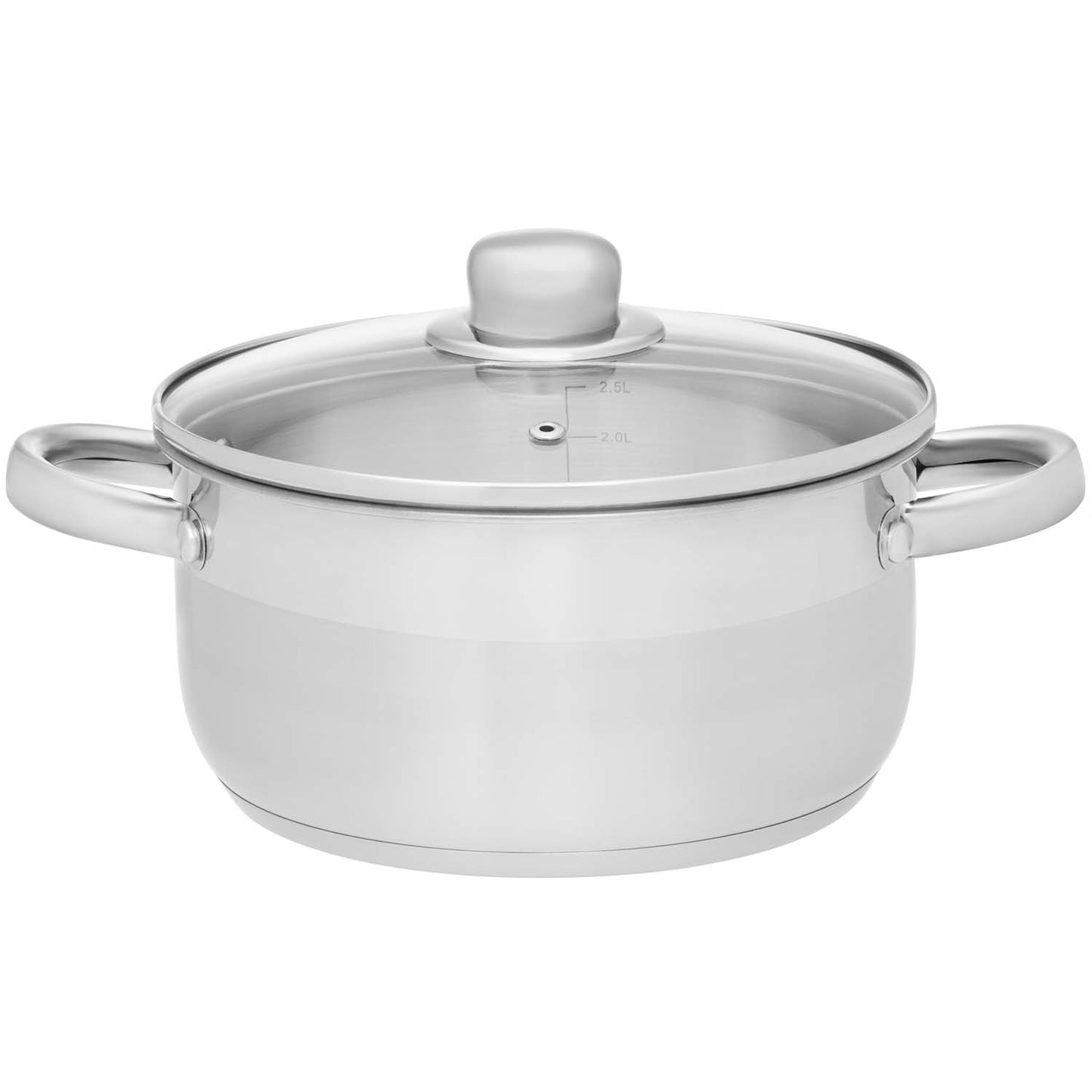 Steel Pot with Glass Lid, 6.5L Capacity