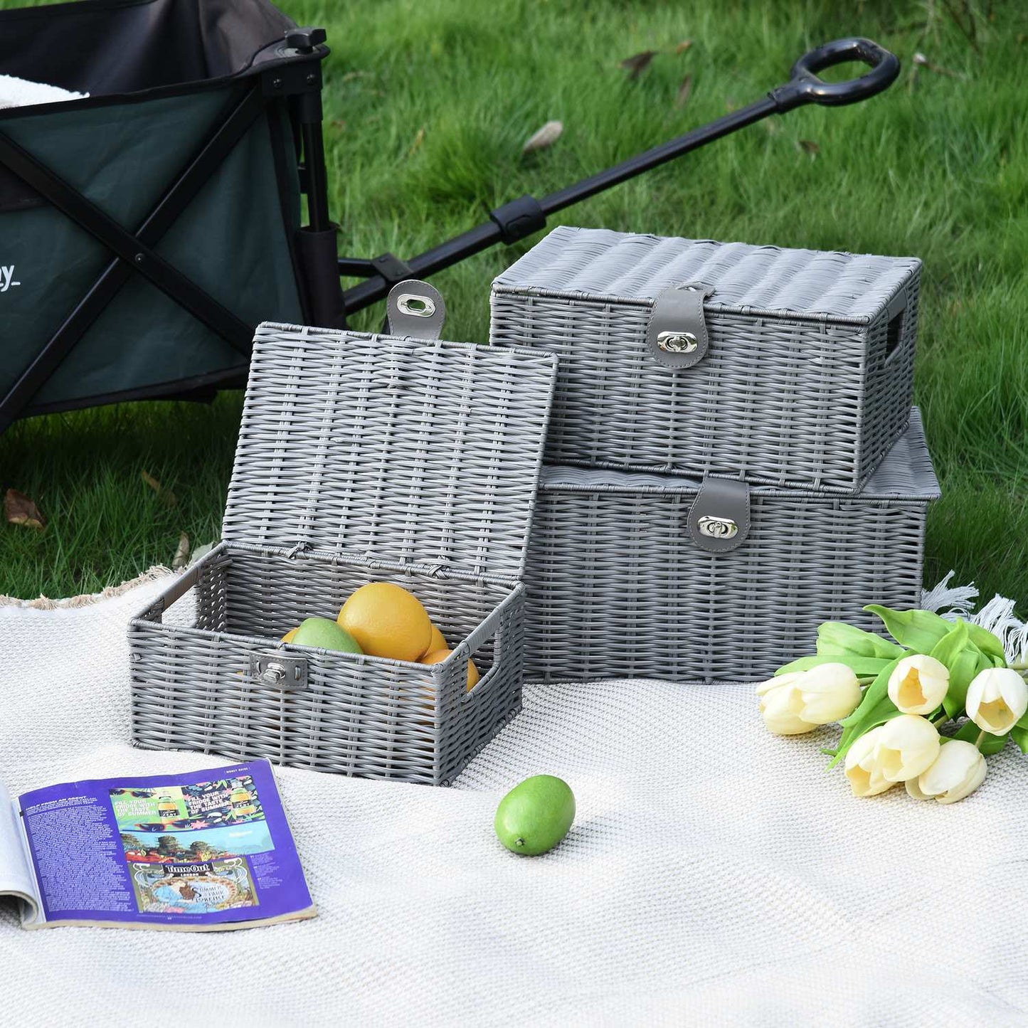 Storage boxes with lids, set of 3, gray - 18L, 12L, 7L