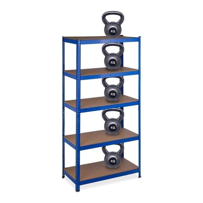 Storage shelf with 5 shelves