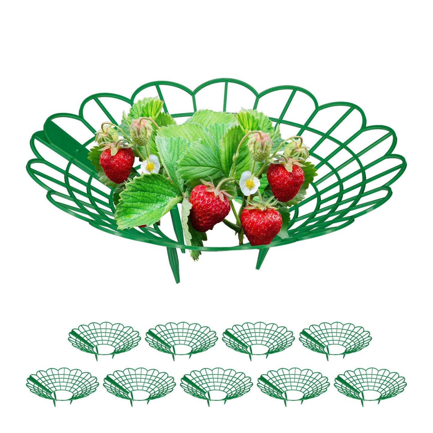 Strawberry support in set