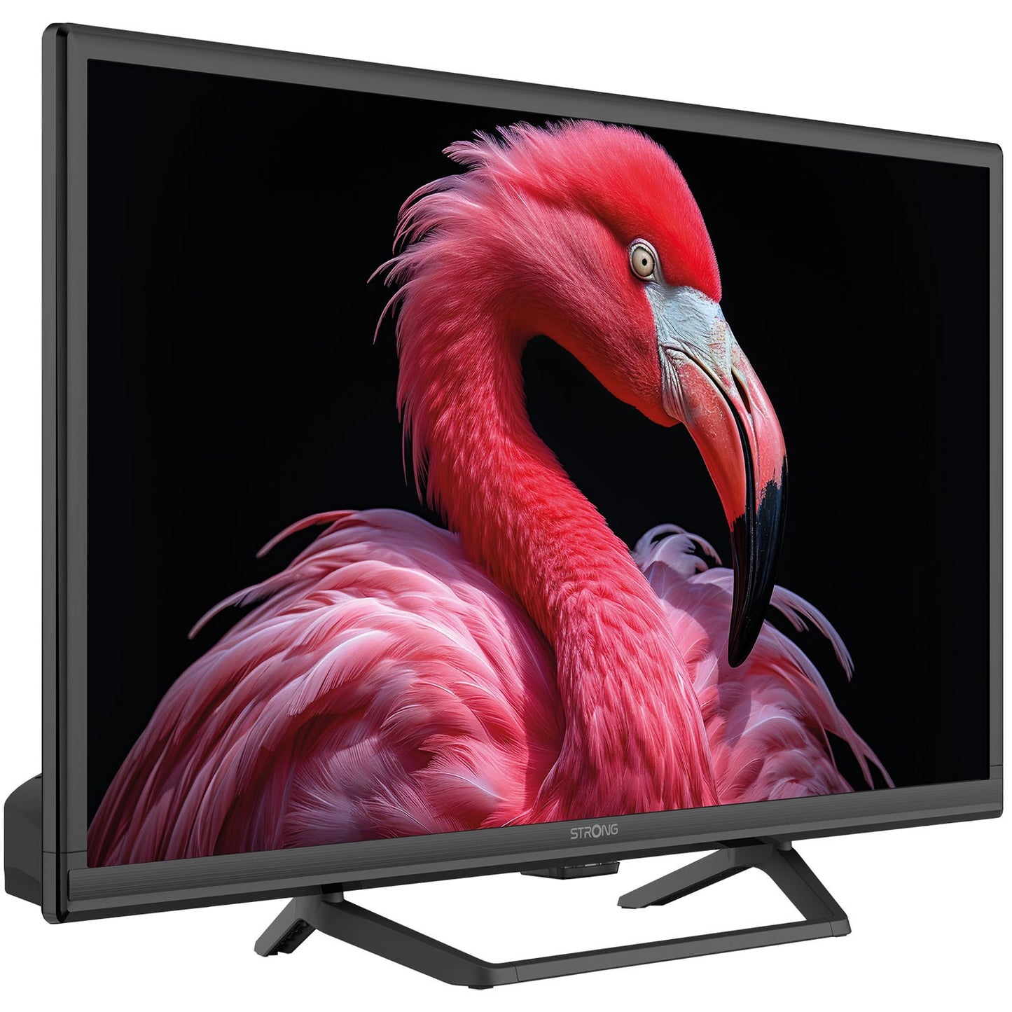 TV 24" 230/12Volt Google TV SRT24HG4723C Black