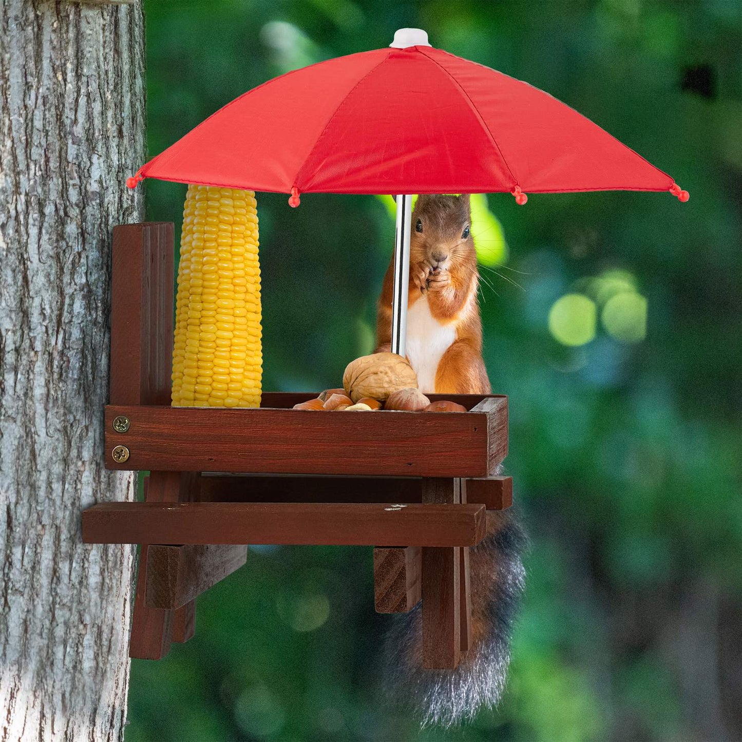 Table set for squirrel