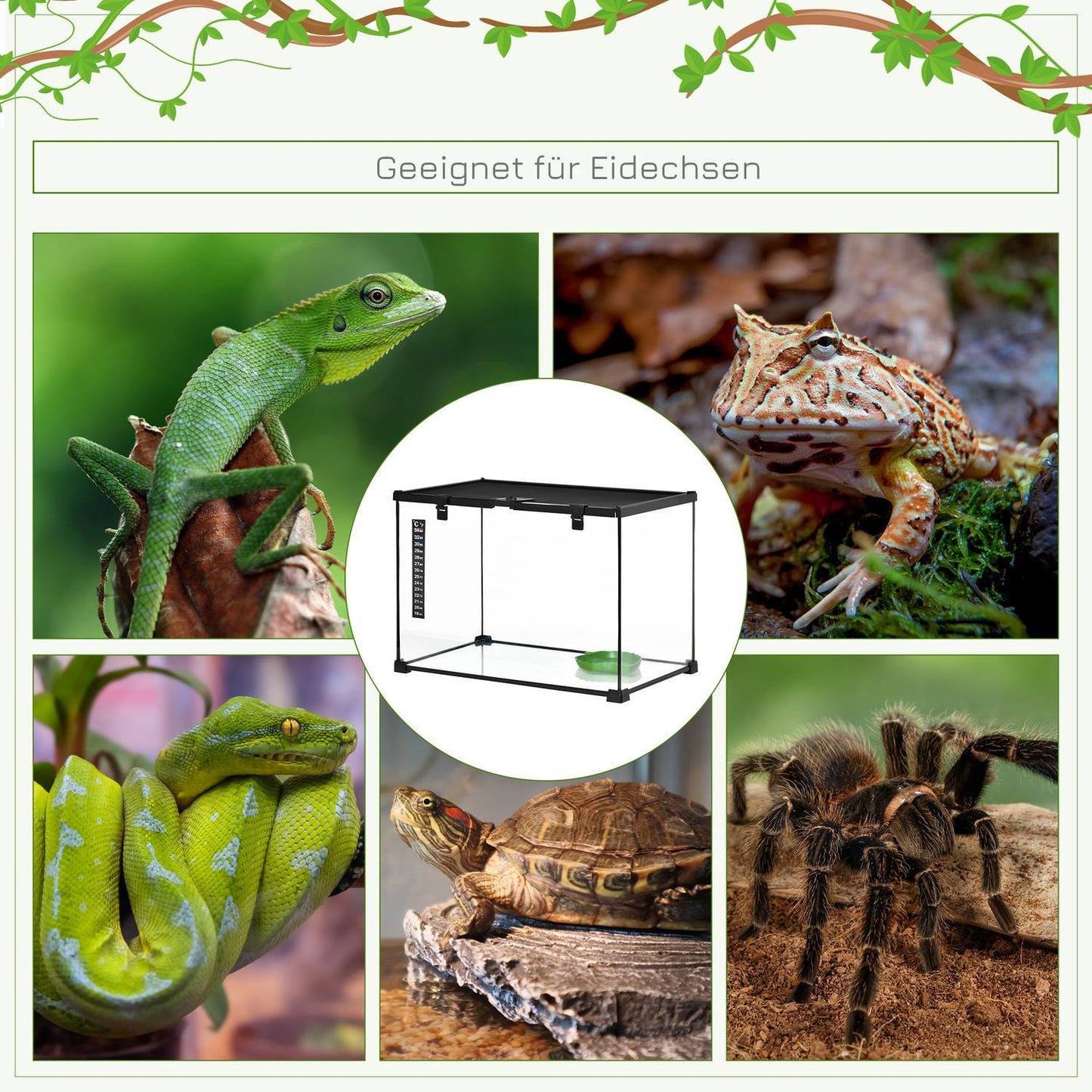 Reptile terrarium in glass with thermometer, 50x30x35cm