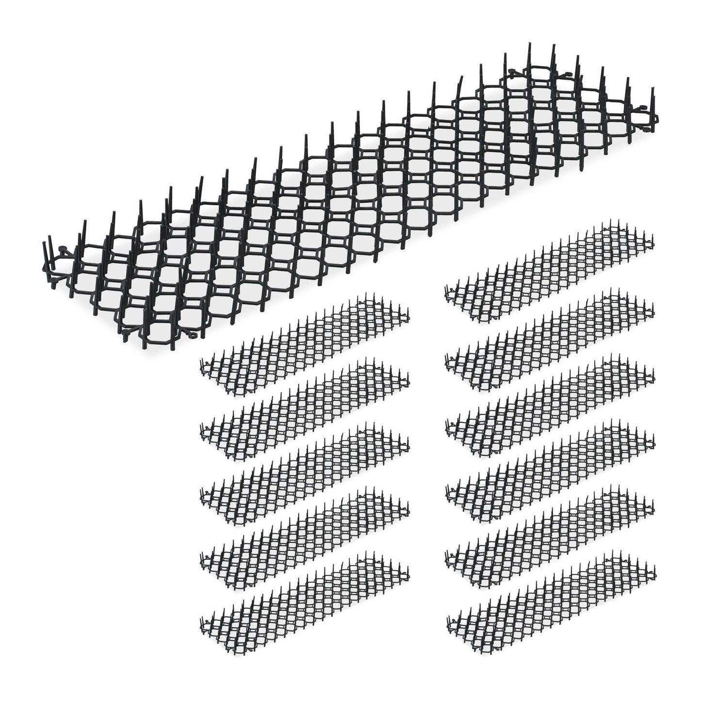 Thorn grid set of 12