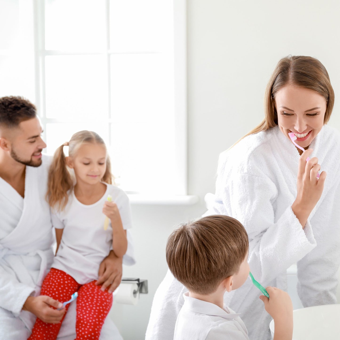 Toilet paper holder stainless steel