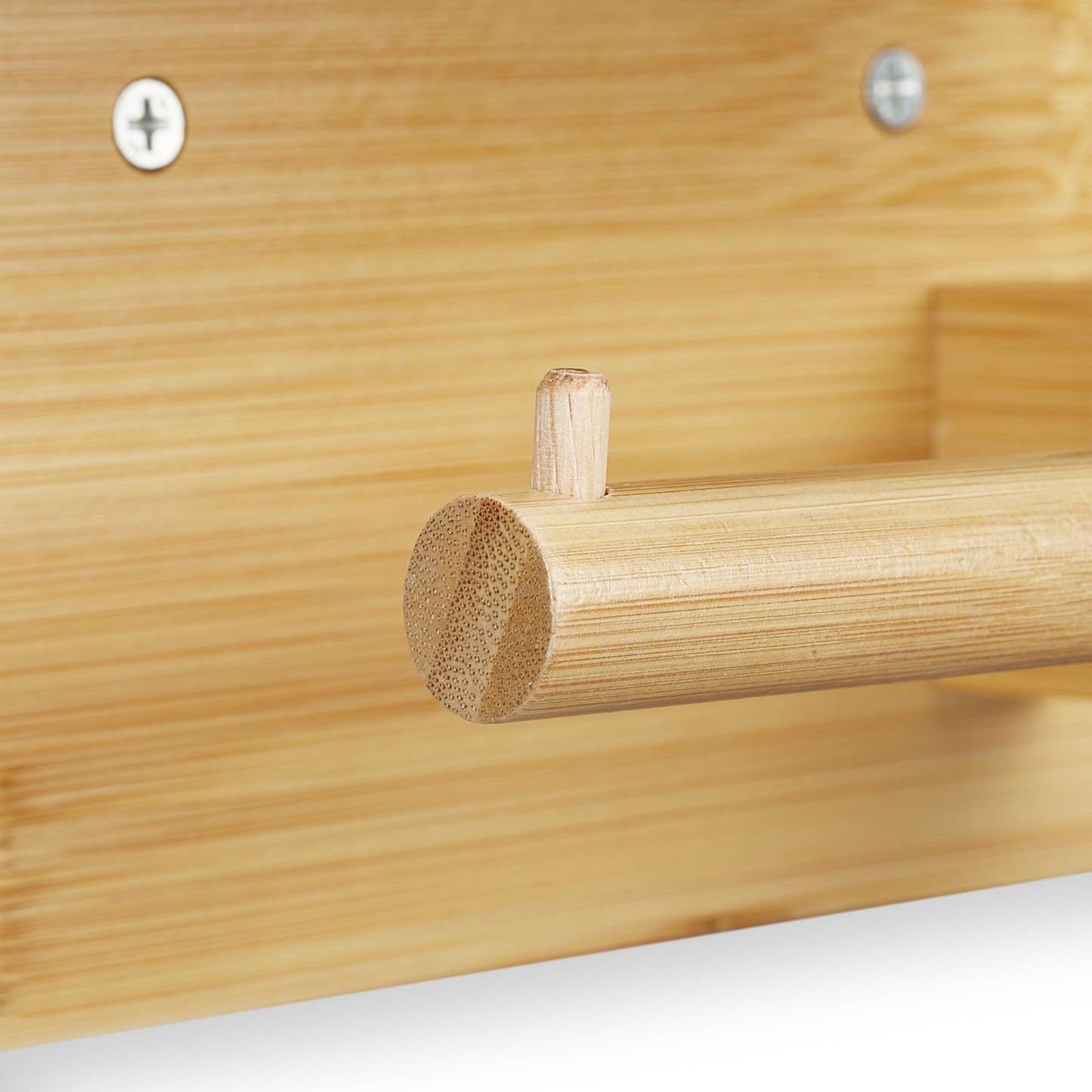 Toilet paper holder with shelf