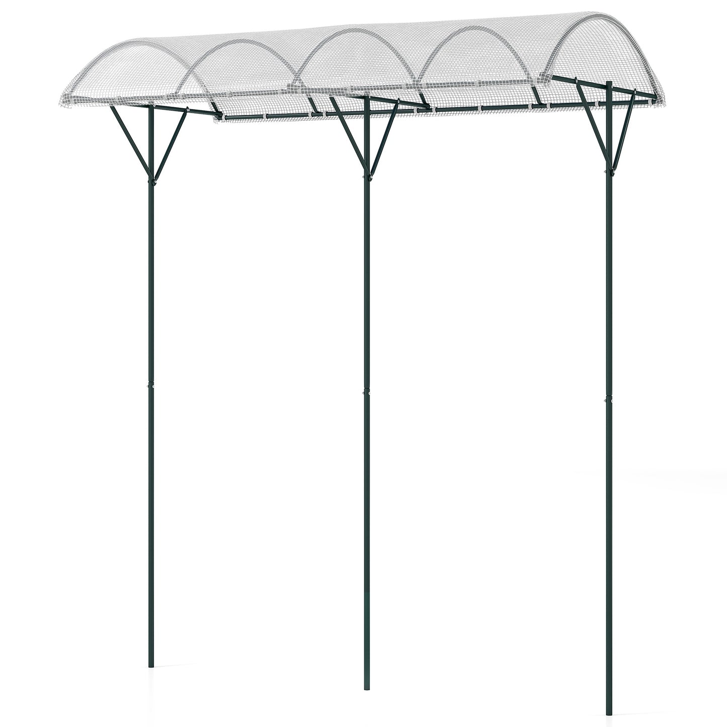 Tomato Plant Shelter with PE Roof & Metal Frame