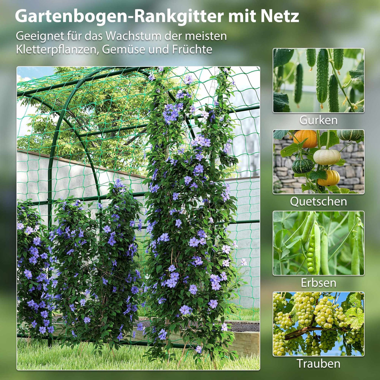 Tomato Trellis Arch, Steel, 216 cm, Dark Green